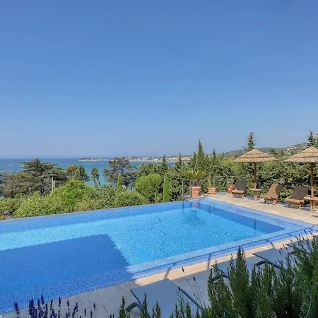 Location De Sur Piscine Et Jardin Vue Panoramique *